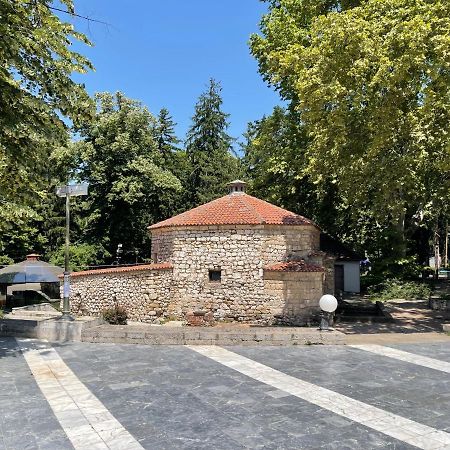 Sokobanja Apartman Aleksa Kültér fotó