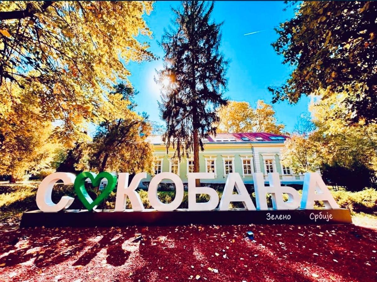 Sokobanja Apartman Aleksa Kültér fotó